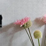 Omi Anni 아파트 *