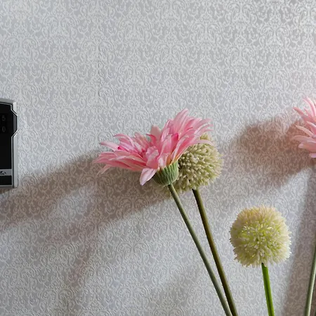 Omi Anni Apartamento *