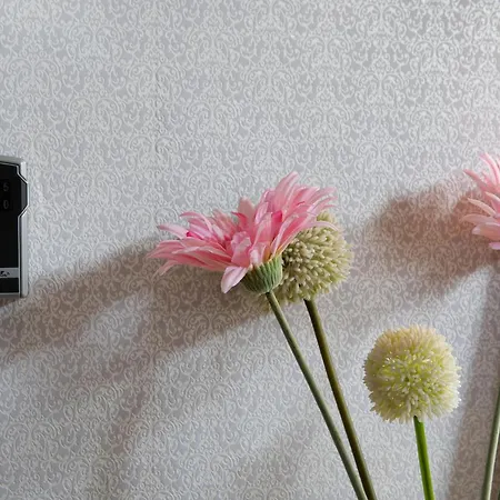 Omi Anni Apartamento *